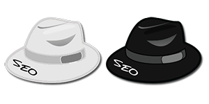 white hat seo,black hat seo,search engine optimization